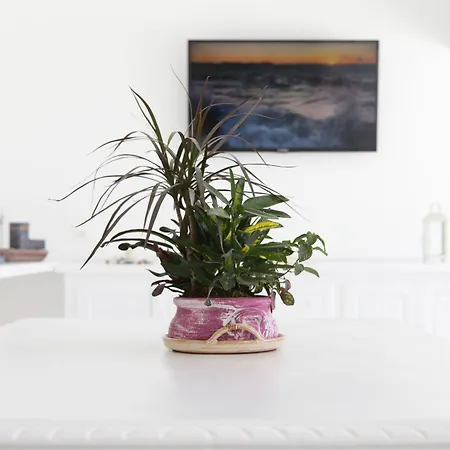 Otel Anamar Blu (adults Only)