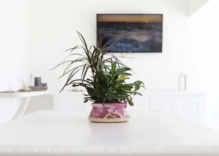 מלון Anamar Blu (adults Only)